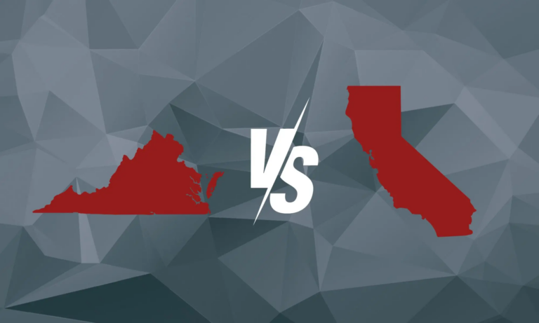 VCDPA vs CCPA: Overview of Differences & Similarities