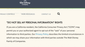 DNMSI Example on Walt Disney Website