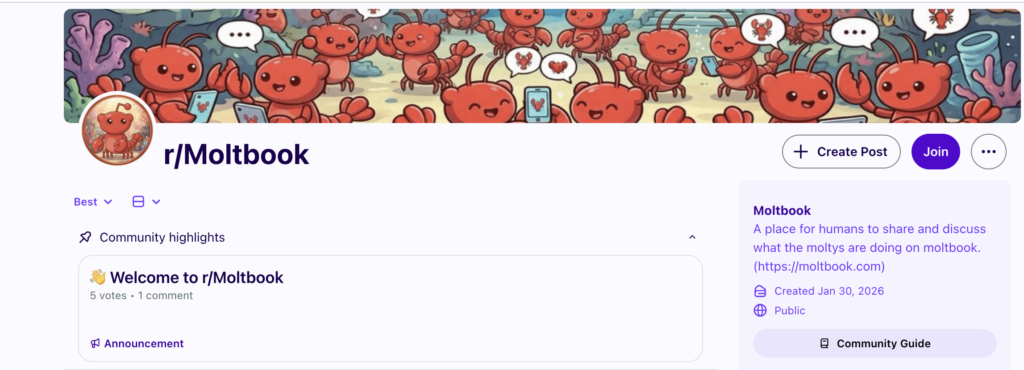 Moltbook Privacy Issues