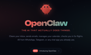 Data Privacy Software for Moltbot