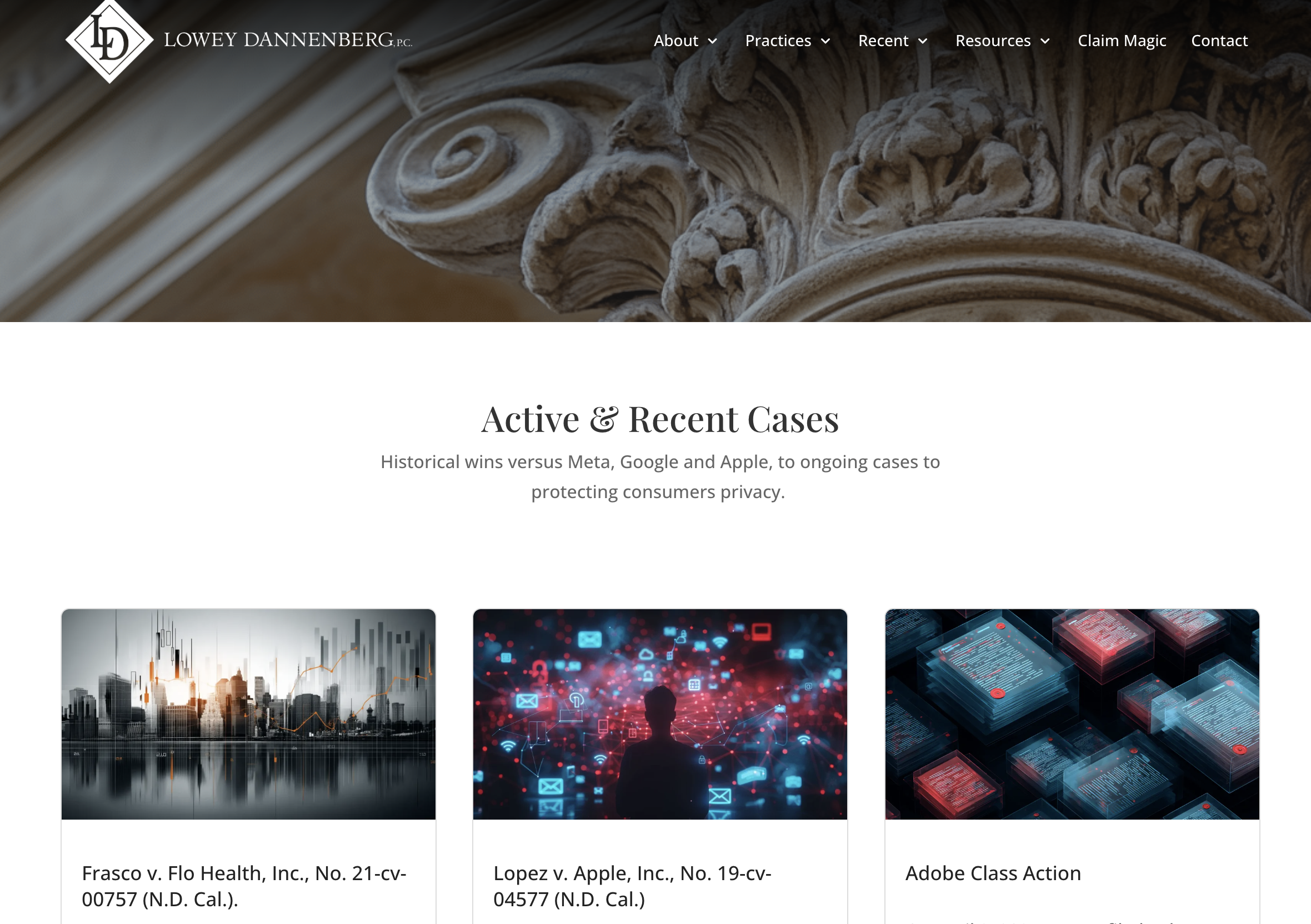 Lowey Dannenberg Data Protection Lawsuit Firm