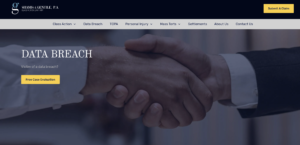 shamis gentile data protection law firm