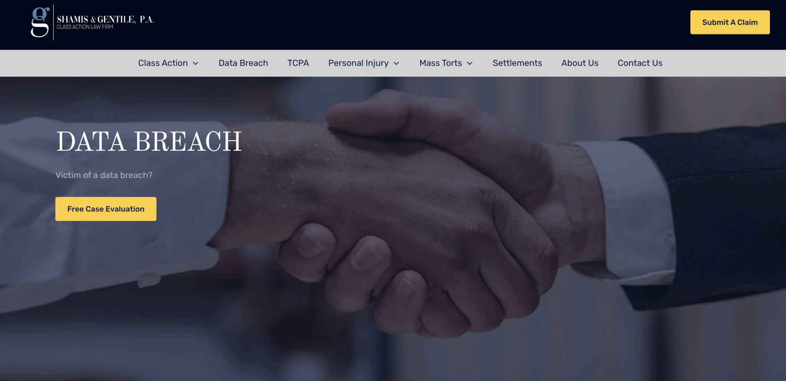 shamis gentile data protection law firm