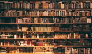 Library of organized records and documents for records management consulting