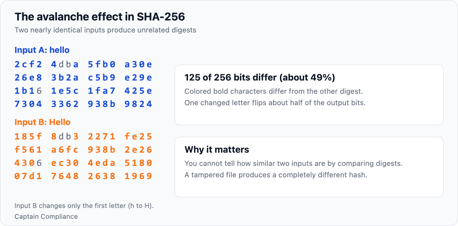 The avalanche effect in SHA-256. Changing one letter from hello to Hello changes 125 of the 256 bits in the SHA-256 digest.