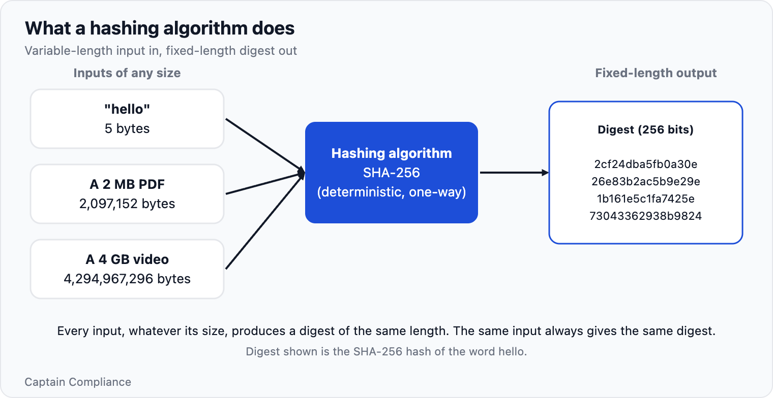 What a hashing algorithm does. A hashing algorithm turns input of any size into a fixed-length digest. The digest shown is the SHA-256 hash of the word hello.